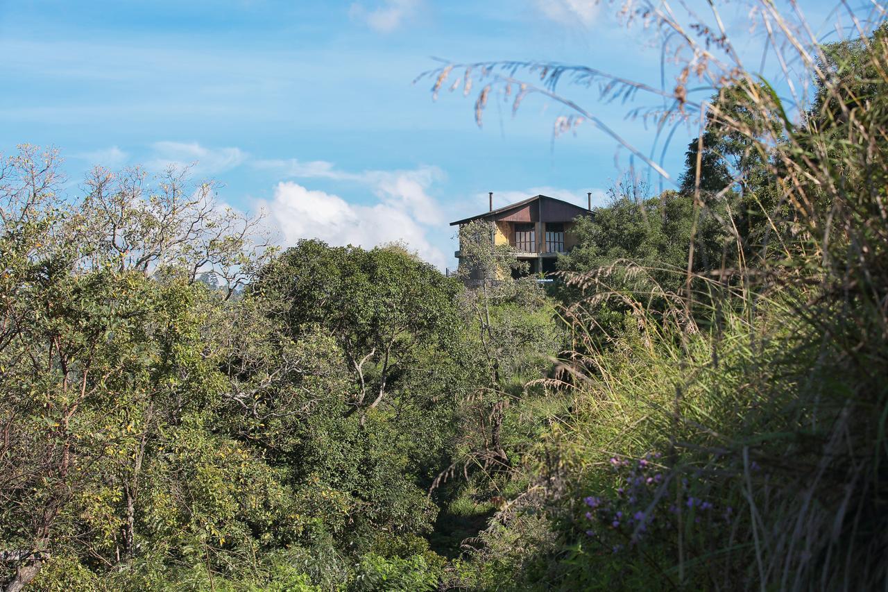 Villa Verde Ella Bagian luar foto