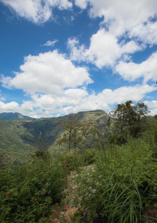 Villa Verde Ella Bagian luar foto