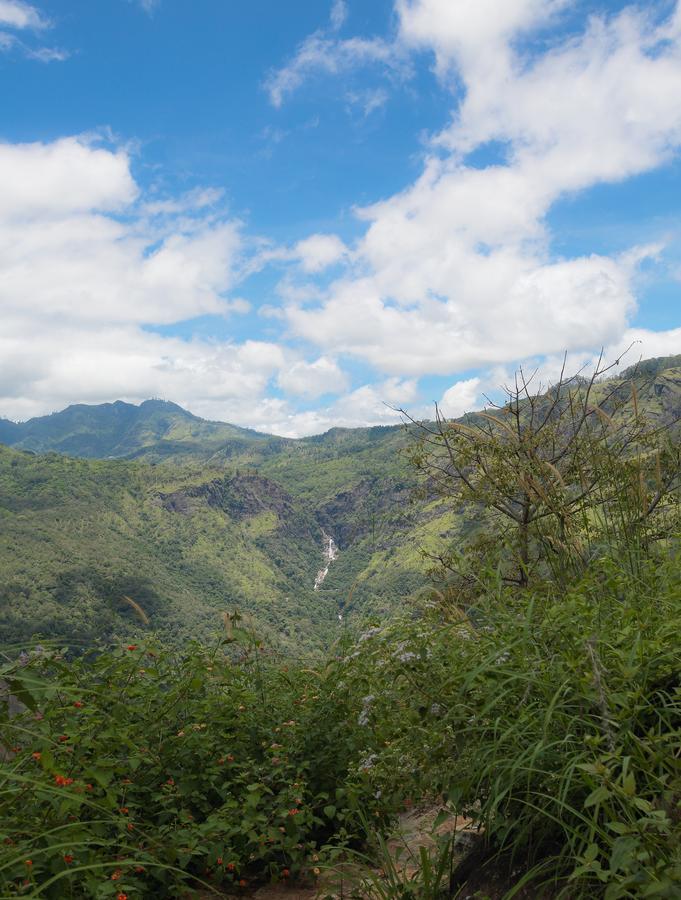 Villa Verde Ella Bagian luar foto