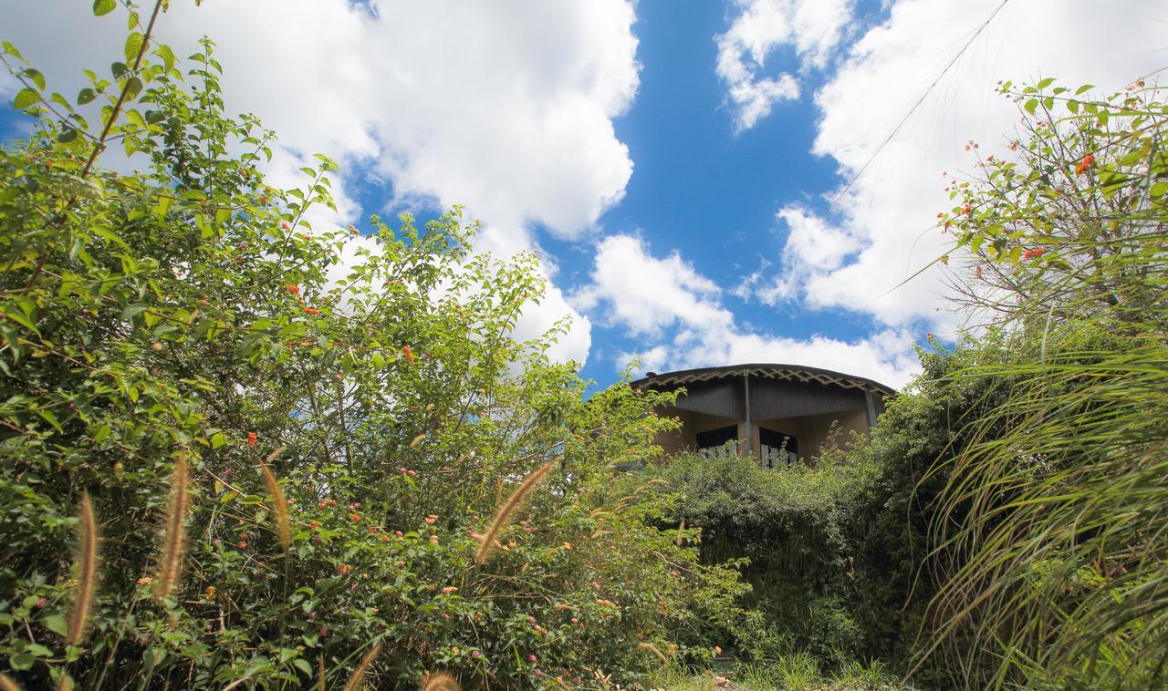 Villa Verde Ella Bagian luar foto