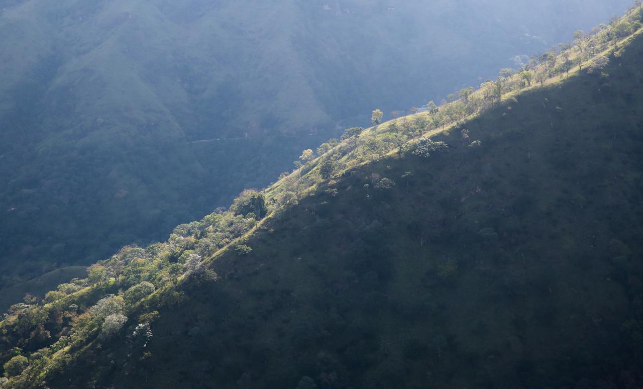 Villa Verde Ella Bagian luar foto