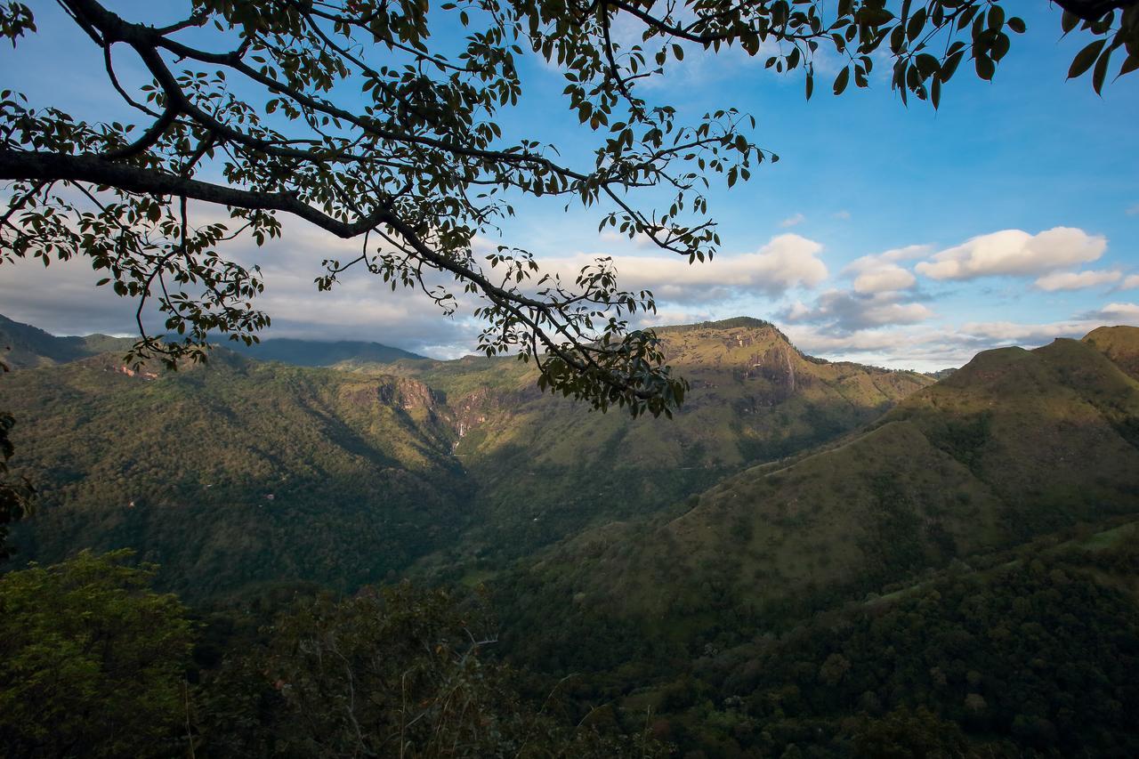 Villa Verde Ella Bagian luar foto